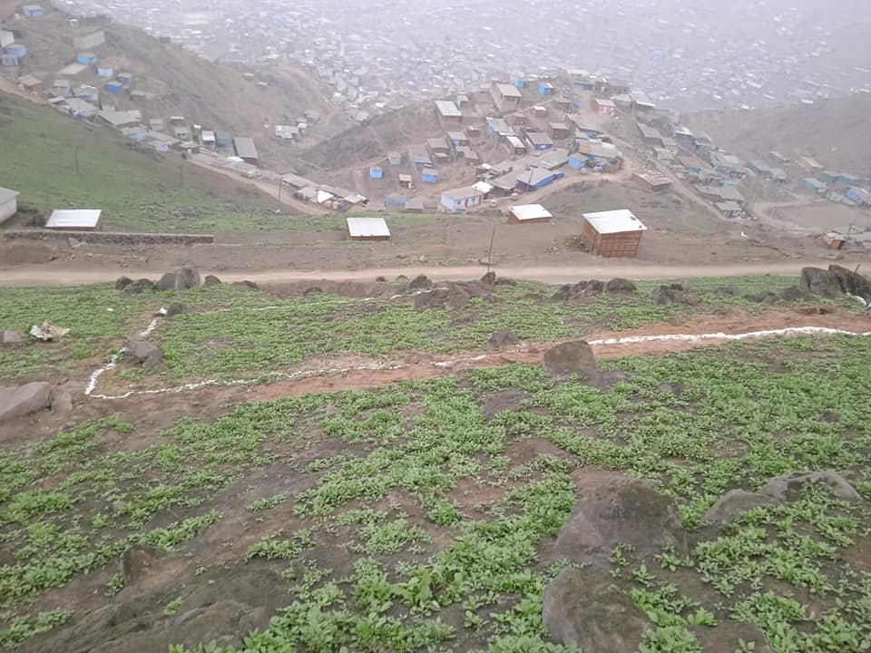 Vendo mi terreno en San Juan de Lurigancho