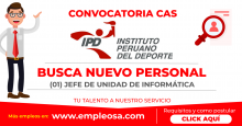 CAS N° 035: JEFE DE UNIDAD DE INFORMÁTICA DEL IPD Vacantes: 1