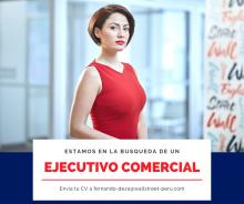 EJECUTIVO COMERCIAL - C/S EXPERIENCIA