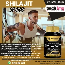 Shilajit Fulvic Ácid 15000 Mg De 120 Cápsulas Wellness Labs